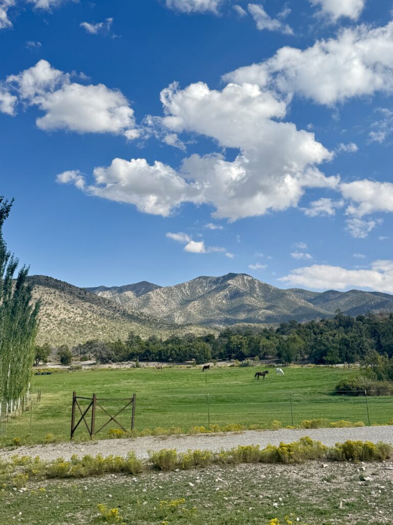 Heath Retreat at Private Ranch with Horses + own Lake 2