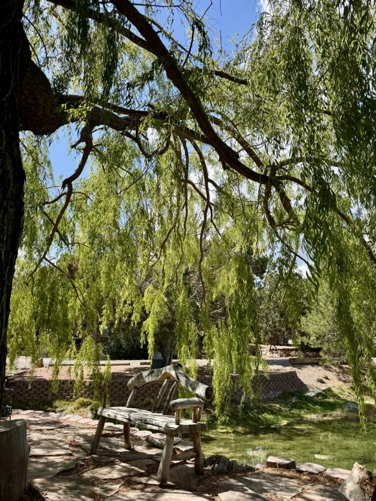 Heath Retreat at Private Ranch with Horses + own Lake 3